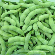 IQF Frozen Shelled Edamame Green Soya Beans
